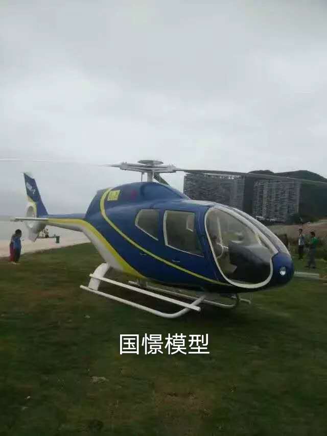 林州市飞机模型